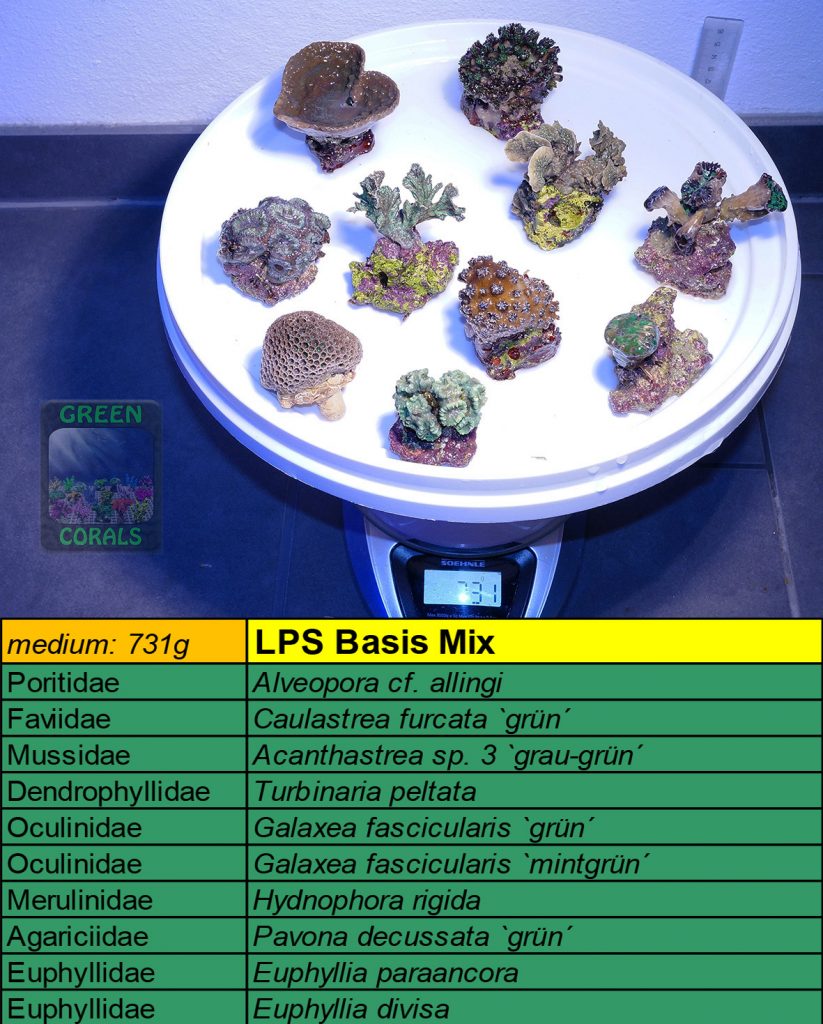 13-lps-basis-mix-731g