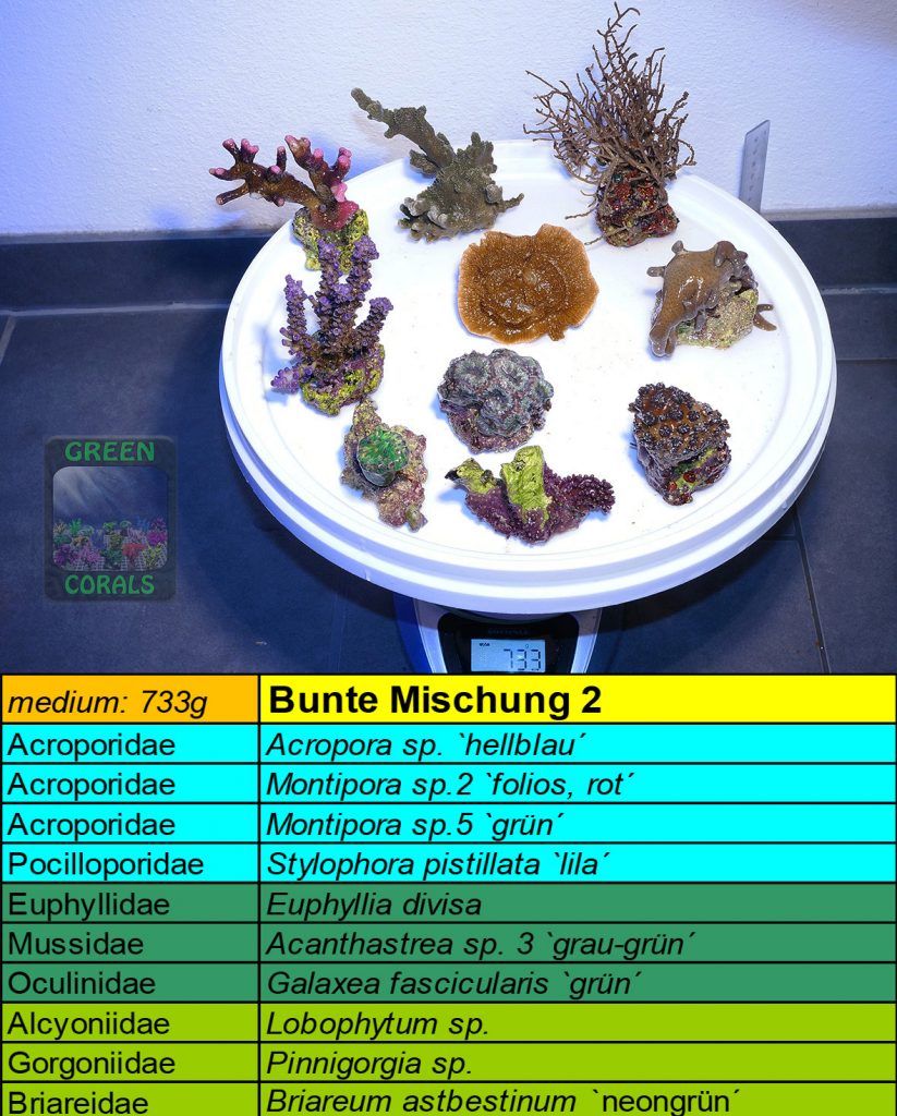 3-bunte-mischung-2-733g