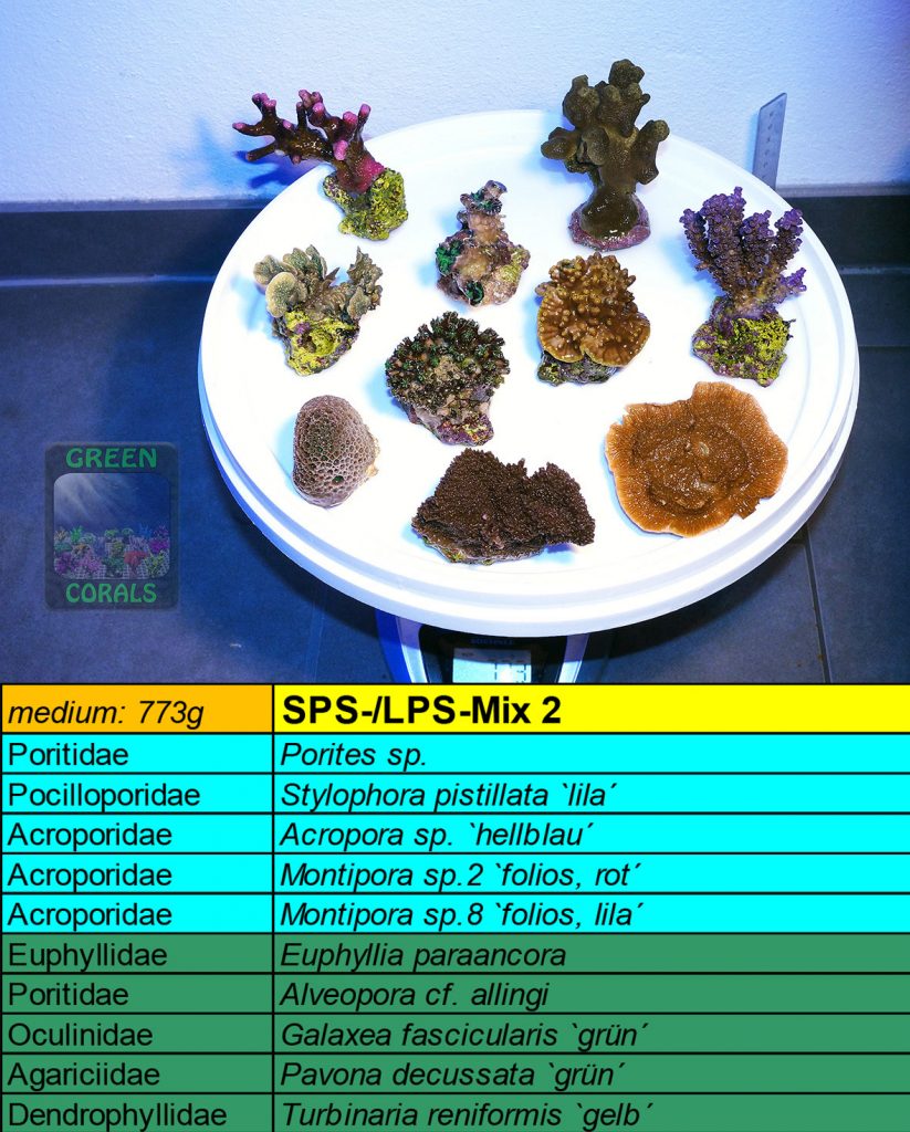 5-sps-lps-mix-2-773g