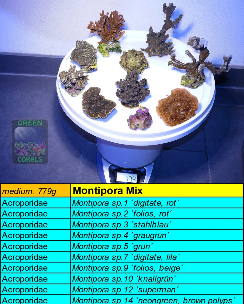 6-montipora-spezial-mix-779g