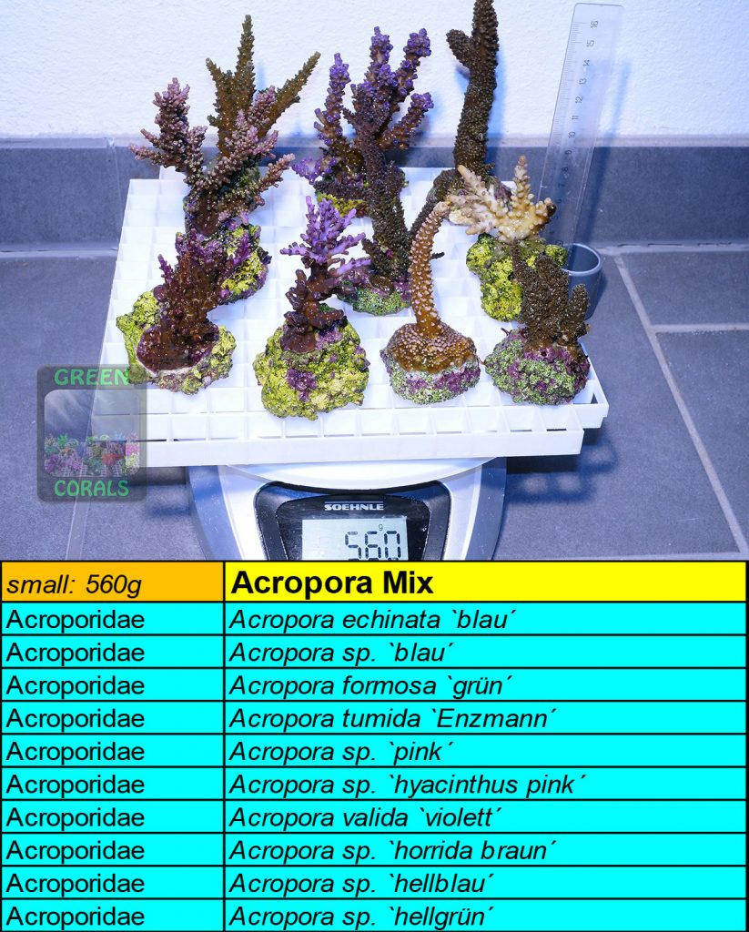 7-acropora-spezial-mix-s-560g