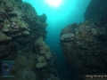 8 Marine life - DSC04935-canyons-at-M-Nakari-south