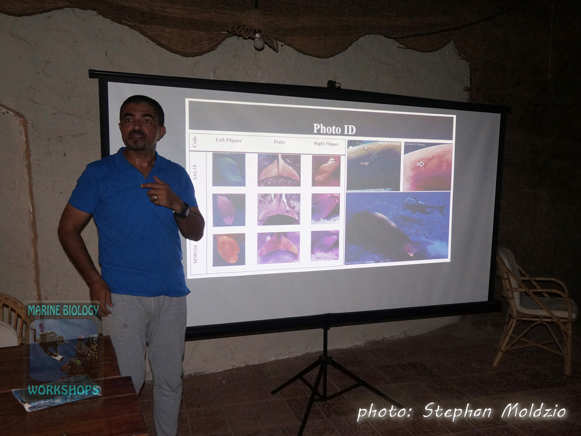 Dugong Presentation by Dr. Ahmed M. Shawky