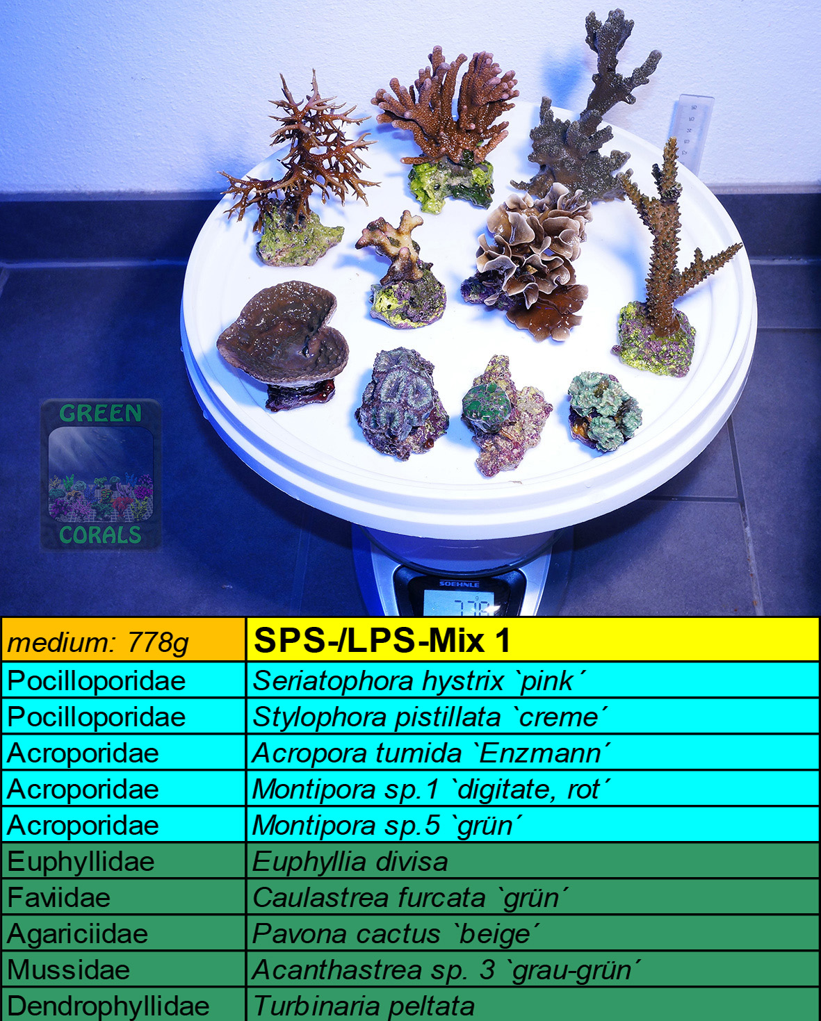 4 SPS-LPS Mix 1 778g