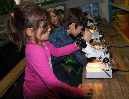 Microscopy course for children at the 26th info day at “das aquarium”