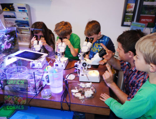 Microscopy workshops for kids