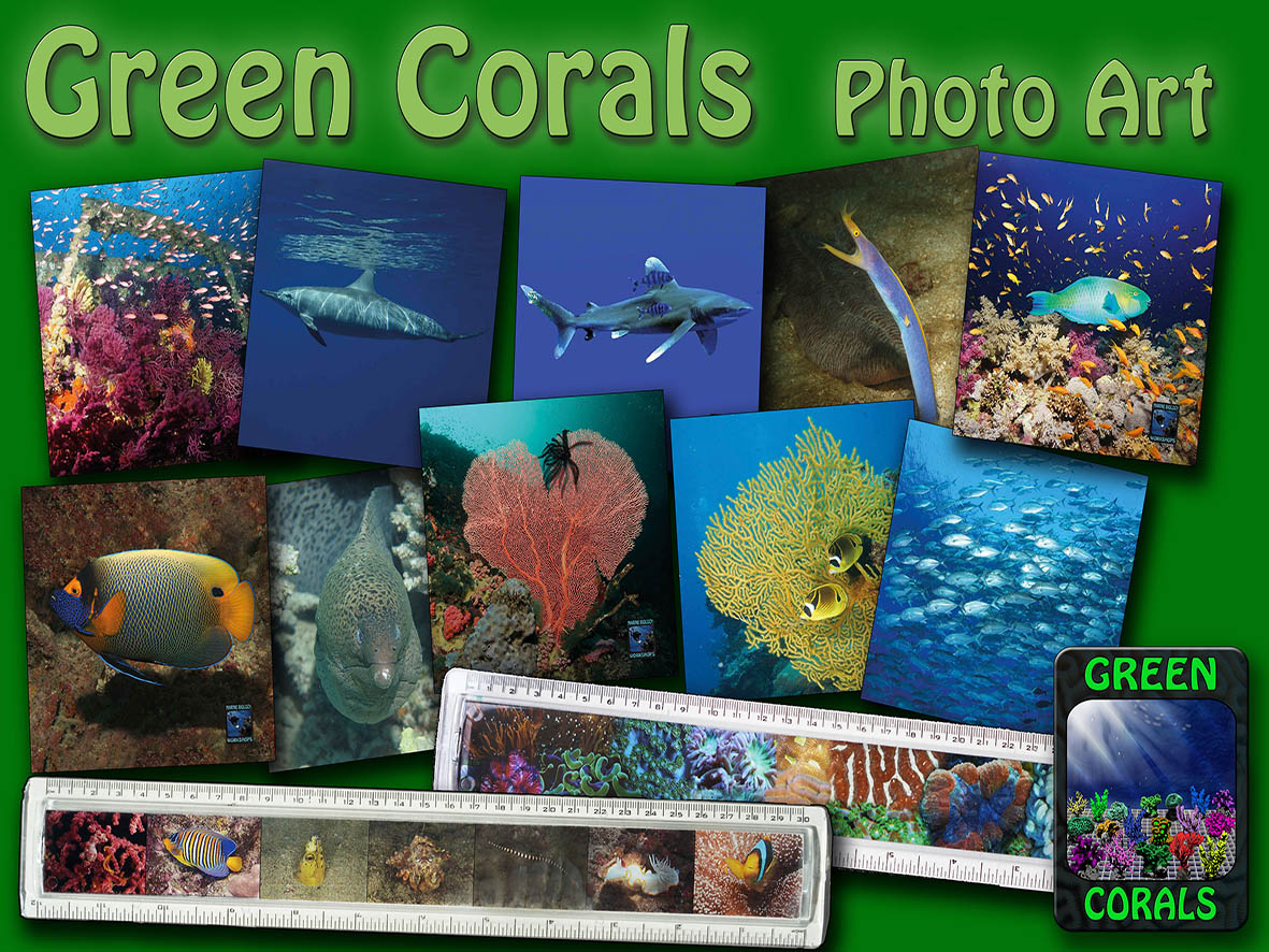 Green-Corals-Photo-Art