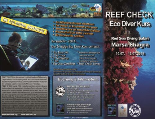 Reef Check Kurs & Surveys Reef Check Eco Diver Course & Surveys