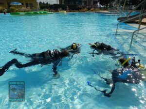 PDAI Diving-skills