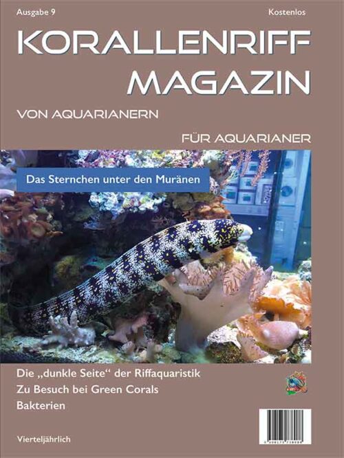 Korallenriff-Magazin-Ausgabe_9