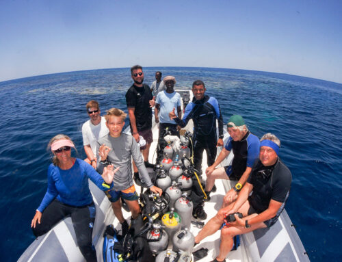 Reef Check EcoDiver Course and Surveys 2023